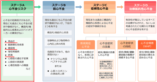 心不全とそのリスクの進展ステージ